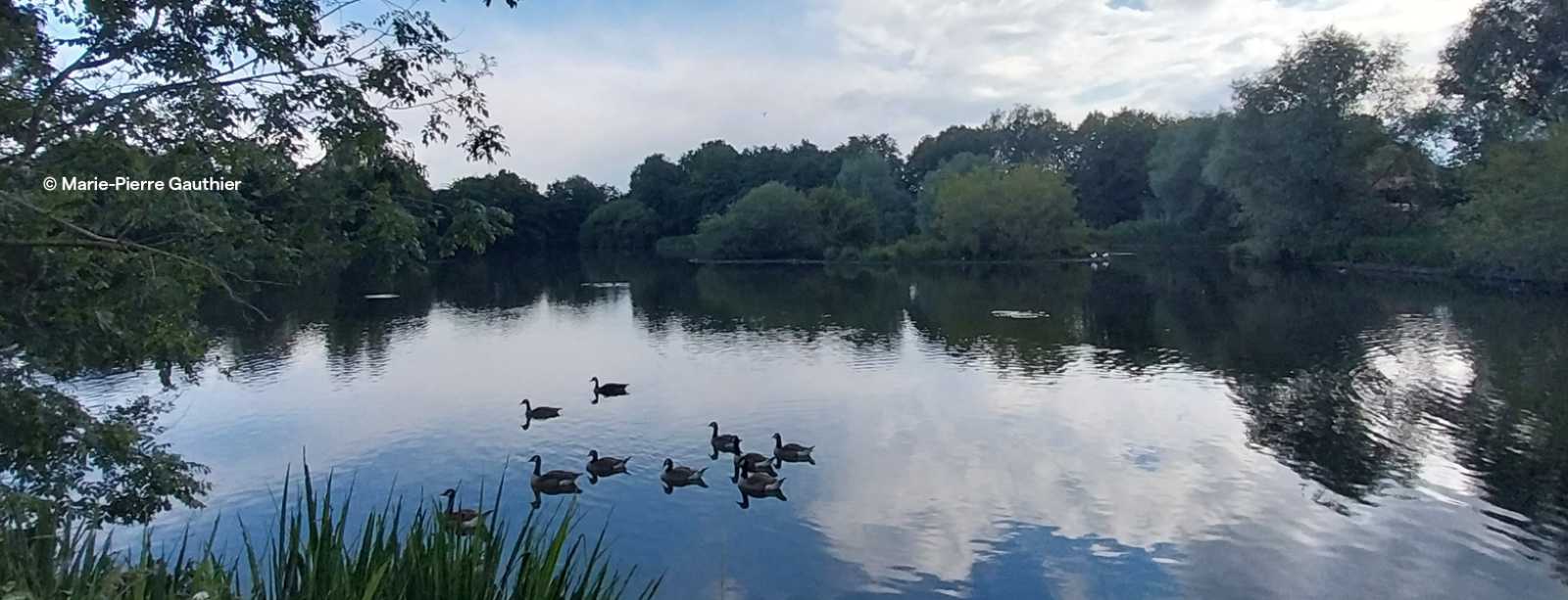Pays de Neerpede, le jardin de tous les Anderlechtois