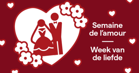 amour