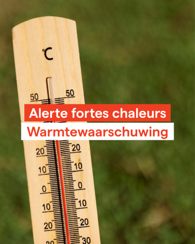 thermometre