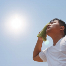 Canicule